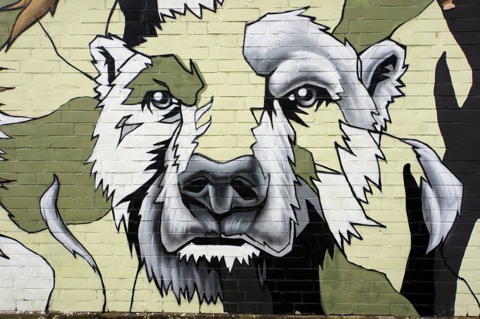 Fototapete Abstraktes Bärchen auf Graffiti