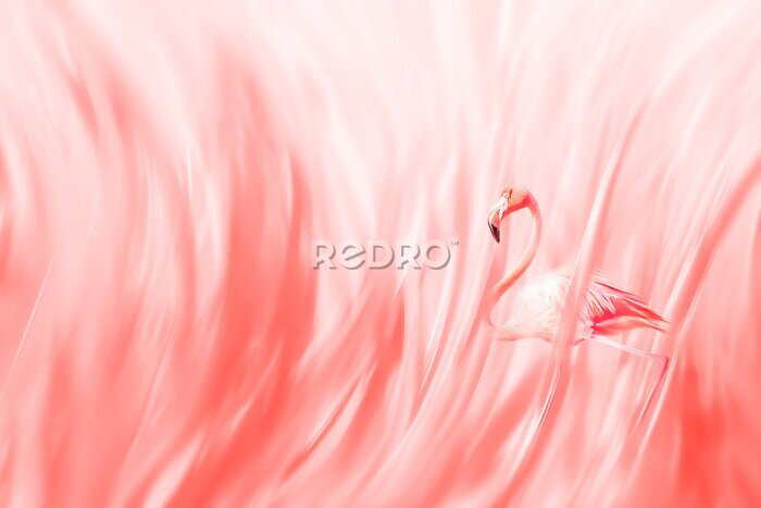 Fototapete Abstraktes Konzept eines Flamingos auf Korallenhintergrund