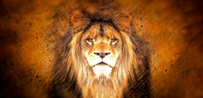 Fototapete Abstraktes Porträt eines afrikanischen Löwen