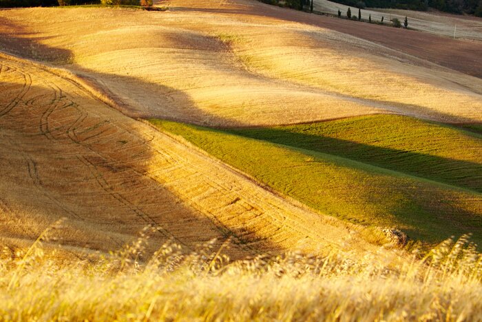 Fototapete Ackerland in der Toskana