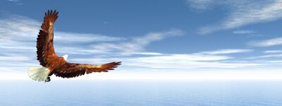 Adler am blauen Himmel