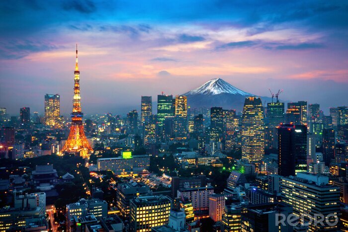 Fototapete Aerial view of Tokyo cityscape with Fuji mountain in Japan.
