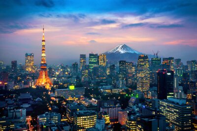 Fototapete Aerial view of Tokyo cityscape with Fuji mountain in Japan.