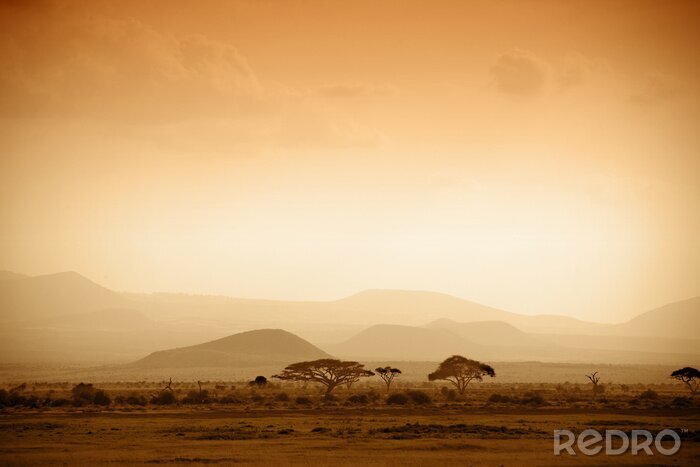Fototapete Afrika Savanne und Sonnenaufgang