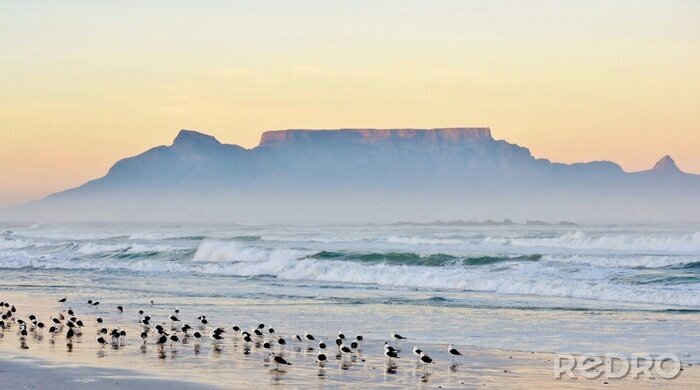 Fototapete Afrikanische Landschaft am Morgen