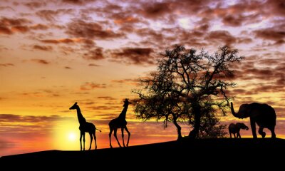 Fototapete Afrikanische Landschaft mit Tieren