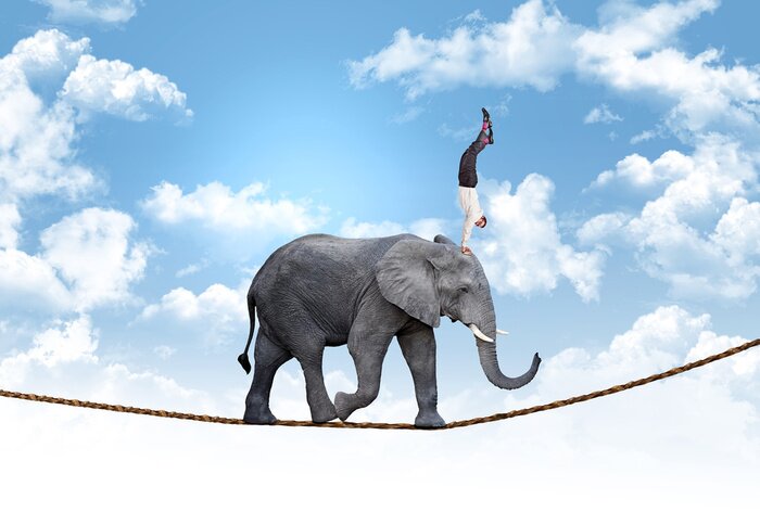 Fototapete Akrobat auf einem Elefanten