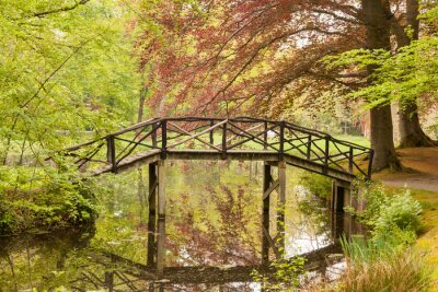 Fototapete Alte Brücke im Wald