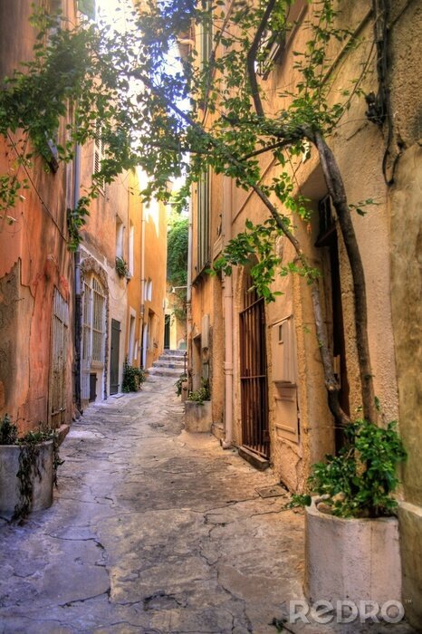 Fototapete Alte Gasse mit Grün