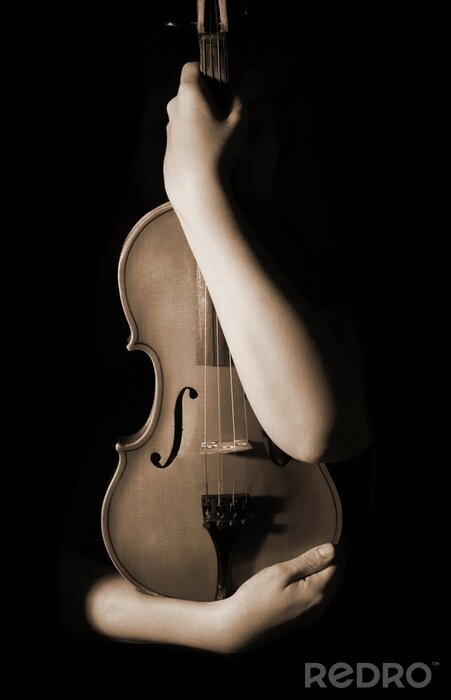 Fototapete alte Geige
