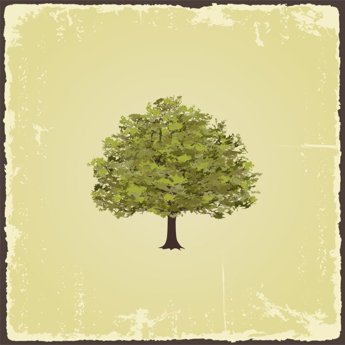 Fototapete Alter Baum Vintage