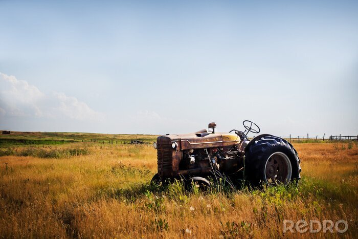 Fototapete Alter rostiger Traktor auf der Wiese