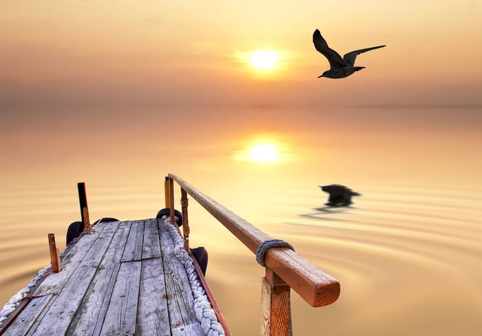 Fototapete Alter Steg mit Möwen