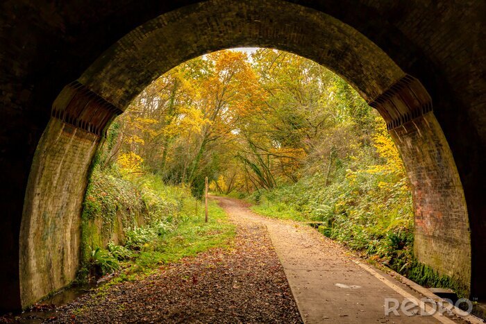 Fototapete Alter Tunnel mit Wald