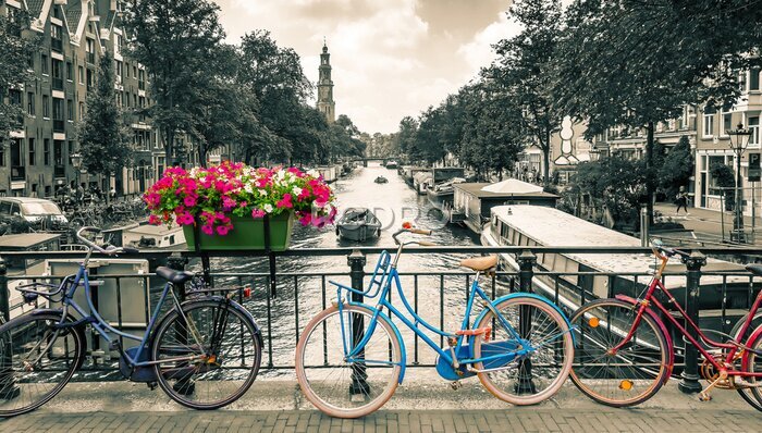 Fototapete Amsterdam - Black and white photo with colored bicycles