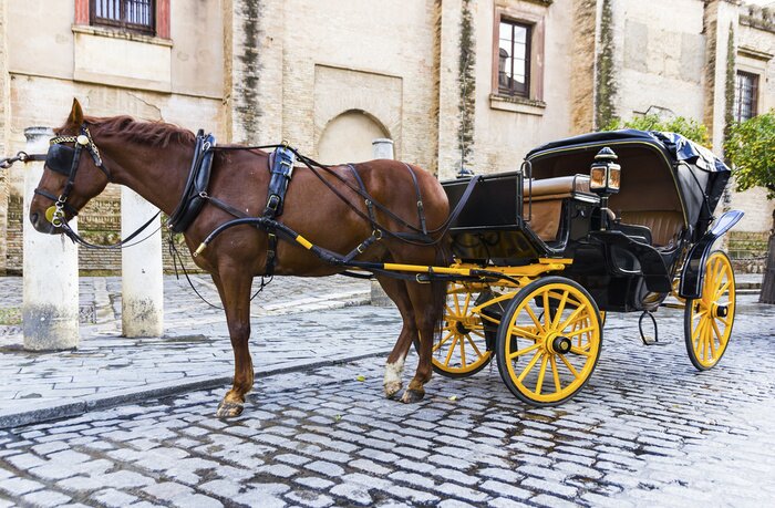 Fototapete An der Kutsche stehendes Tier