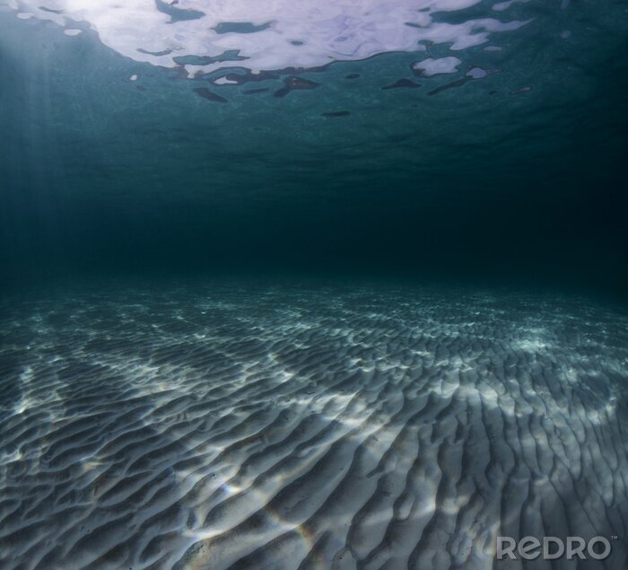 Fototapete Ansicht des Meeresbodens