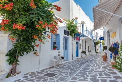 Fototapete Ansicht einer typischen engen Straße in der Altstadt von Parikia, Paros-Insel, Kykladen, Griechenland