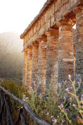 Fototapete Antike Säulen inmitten von Blumen