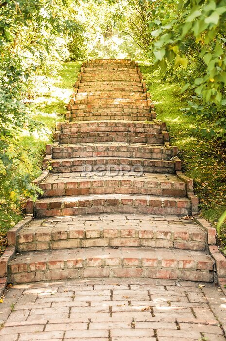 Fototapete Antike Treppe in einem Garten