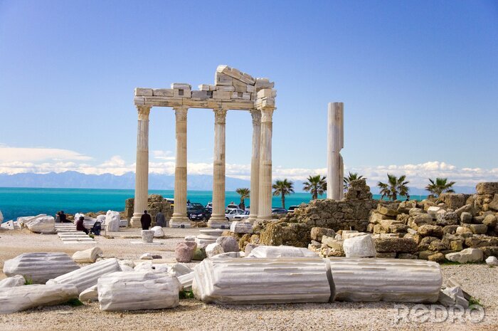 Fototapete Apollo-Tempel vor dem Hintergrund der Palmen