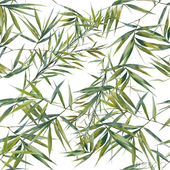 Fototapete Aquarell Bambusblätter
