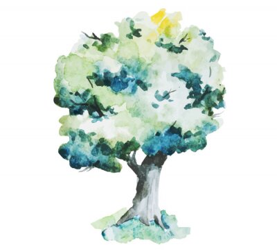 Fototapete Aquarell-Baum auf weißem Hintergrund