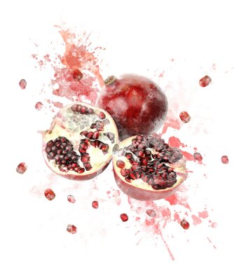 Aquarell Bild Von Granatapfel