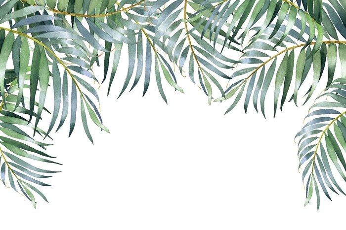 Fototapete Aquarell-Blätter der Palme