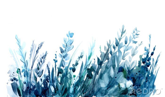 Fototapete Aquarell-Blätter und -Kräuter in Blautönen