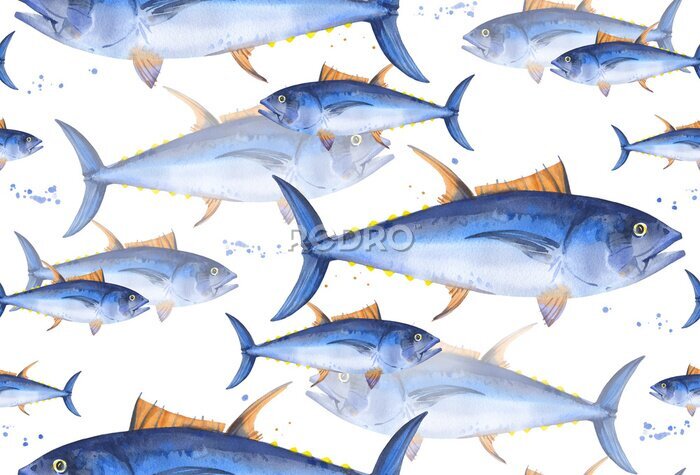 Fototapete Aquarell-Blauflossen-Thunfisch auf weißem Hintergrund