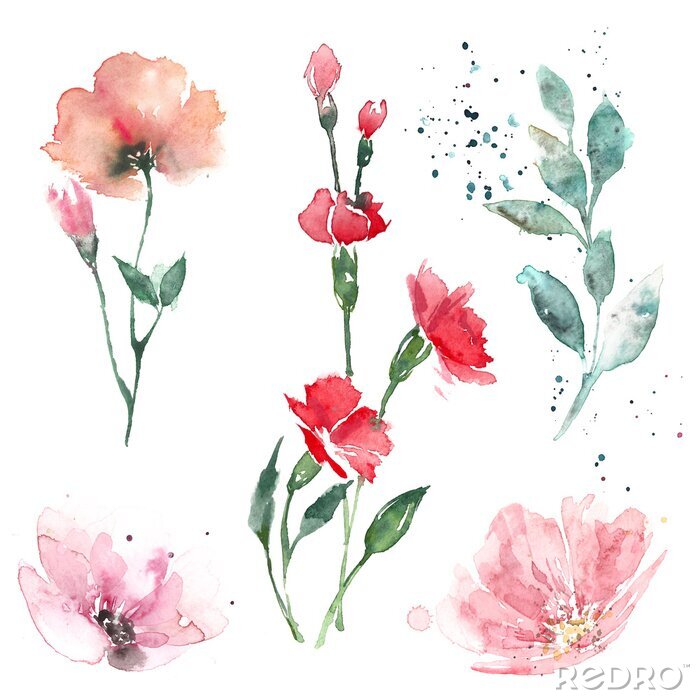 Fototapete Aquarell-Blumen mit Abstraktion