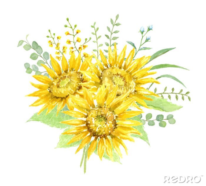 Fototapete Aquarell-Komposition aus Sonnenblumen