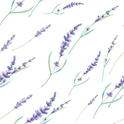 Aquarell Lavendel nahtlose Muster. Hand gezeichnet floral wiederholende Textur. Frühling Tapeten mit Blumen auf weißem Hintergrund