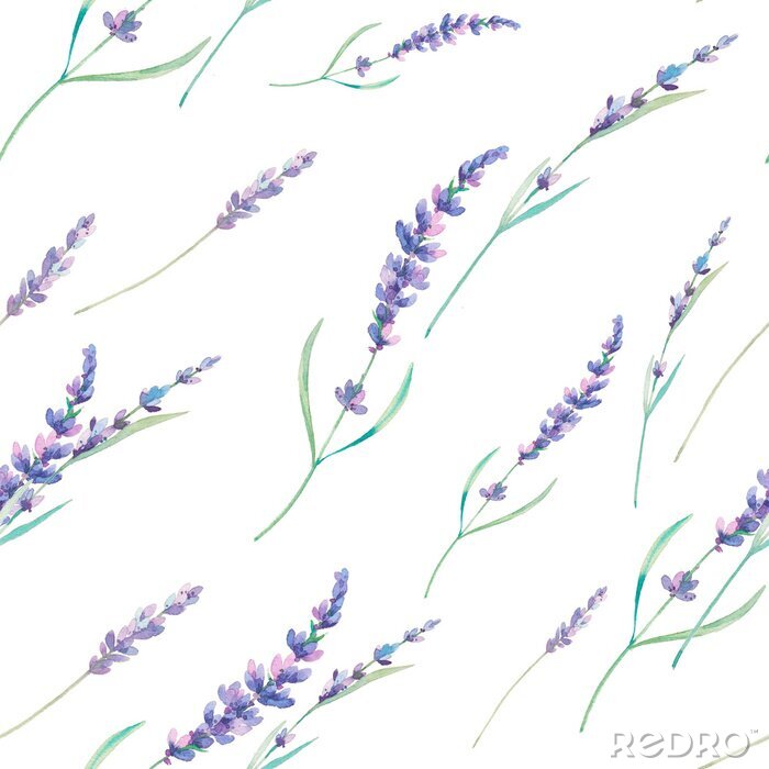 Fototapete Aquarell Lavendel nahtlose Muster. Hand gezeichnet floral wiederholende Textur. Frühling Tapeten mit Blumen auf weißem Hintergrund