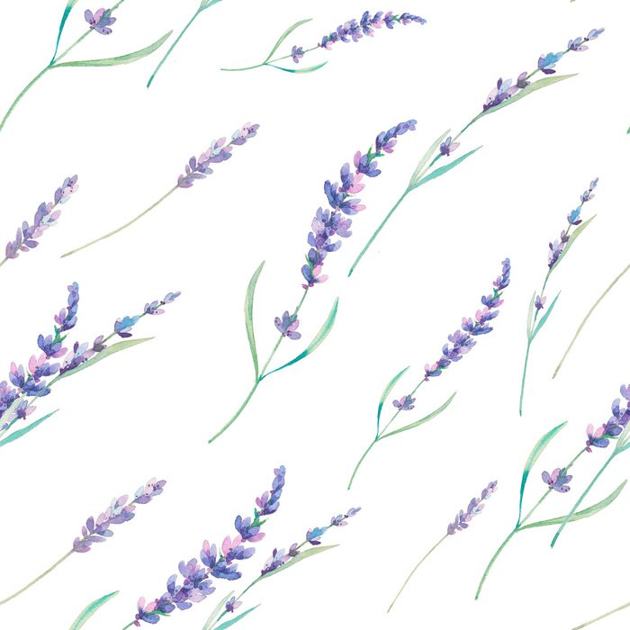Fototapete Aquarell Lavendel nahtlose Muster. Hand gezeichnet floral wiederholende Textur. Frühling Tapeten mit Blumen auf weißem Hintergrund