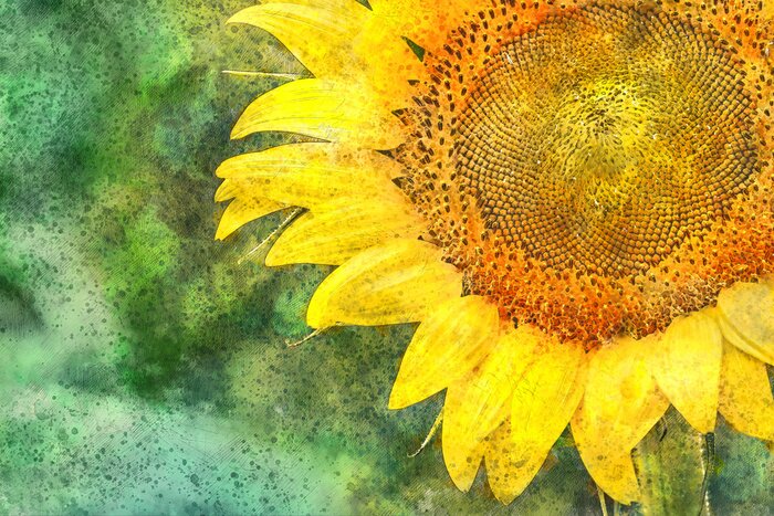 Fototapete Aquarell-Mohnblume auf grünem Hintergrund