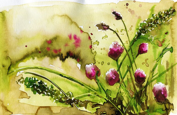 Fototapete Aquarell-Mohnblumen in Violett