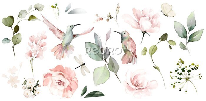 Fototapete Aquarell-Muster mit Vögeln und Blumen