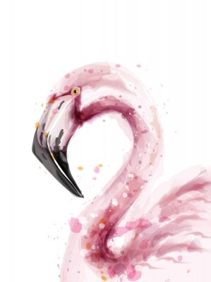 Aquarell-Porträt des Flamingos