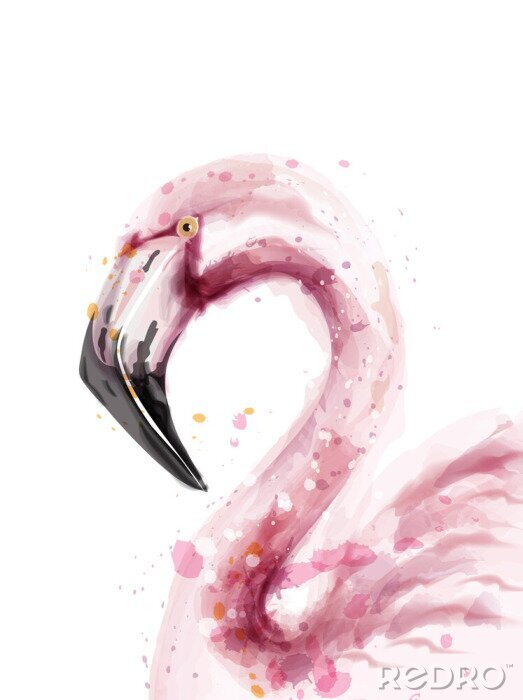 Fototapete Aquarell-Porträt des Flamingos