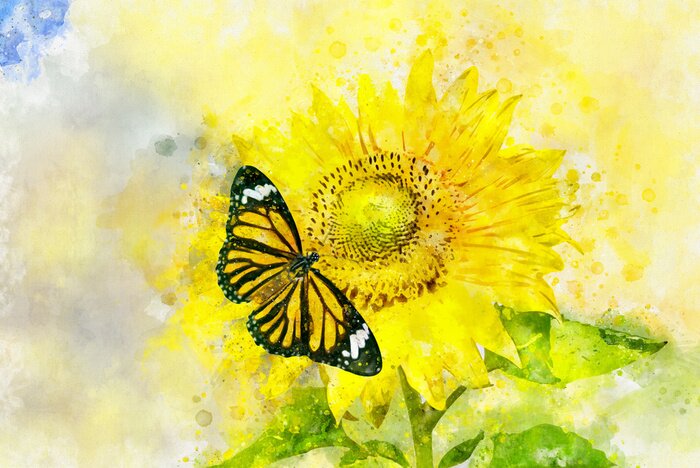 Fototapete Aquarell-Sonnenblume und Schmetterling