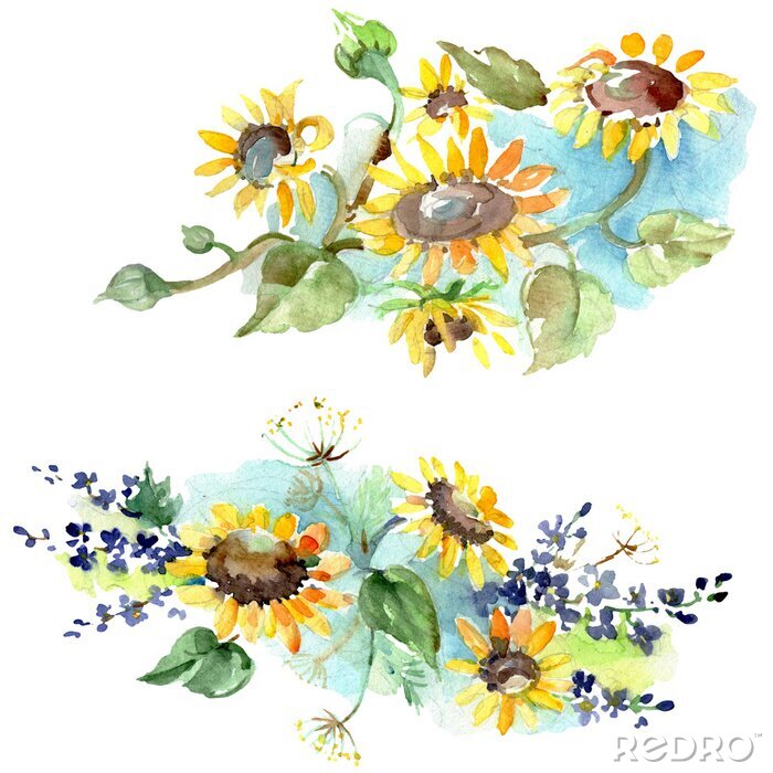 Fototapete Aquarell-Sonnenblumen auf blauer Schattierung