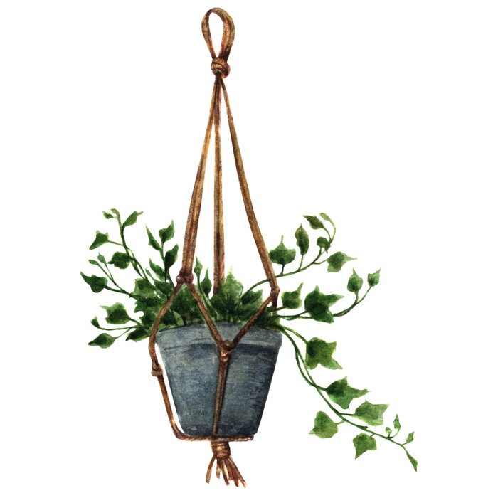 Fototapete Aquarell Topfpflanzen