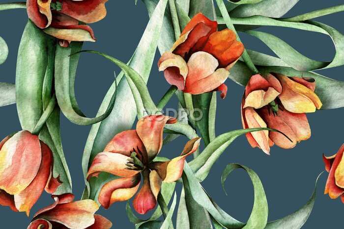 Fototapete Aquarell-Tulpen wie gemalt