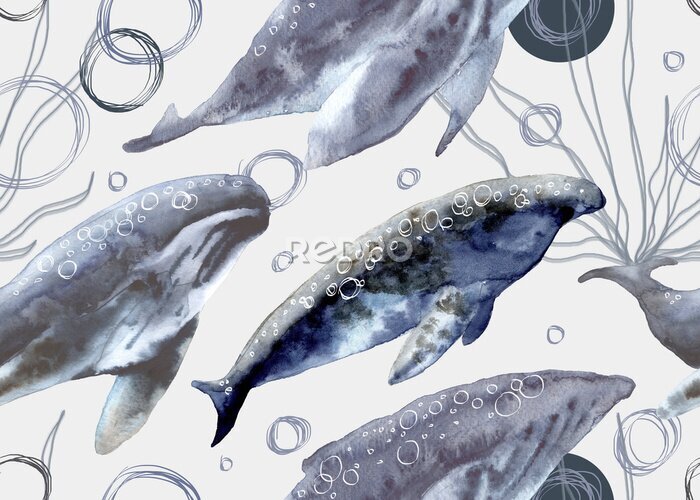 Fototapete Aquarell-Wale auf weißem Hintergrund