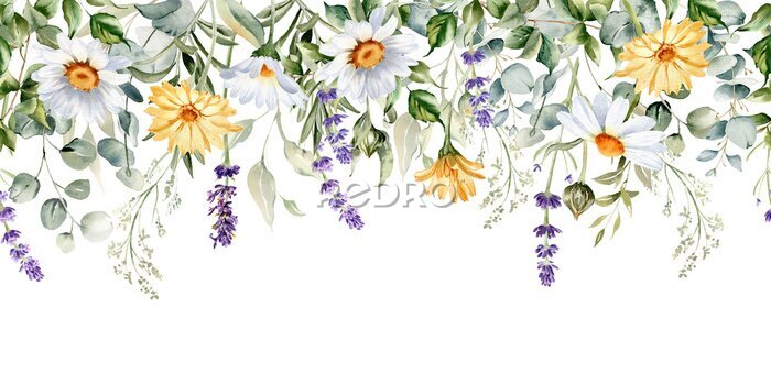 Fototapete Aquarell-Wildblumenrahmen