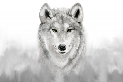 Fototapete Aquarell-Wolf in Grau
