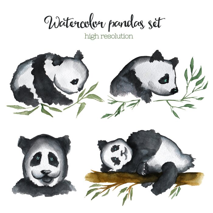 Fototapete Aquarellgemalter panda