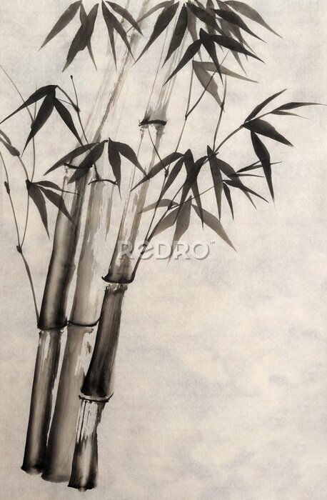 Fototapete Aquarellmalerei von Bambus